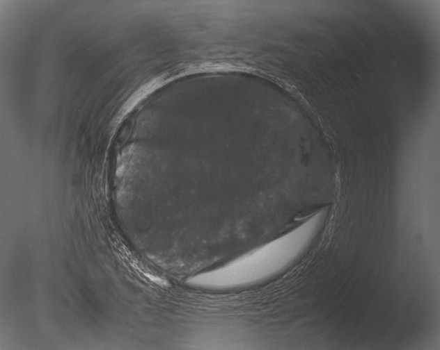 X0000085071173200703261223