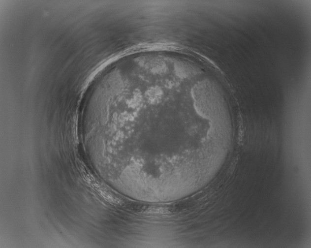 X0000085071174200703261223