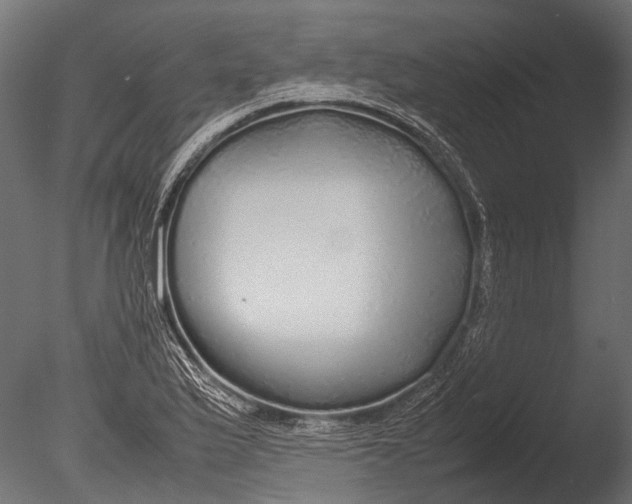 X0000085071175200703261223