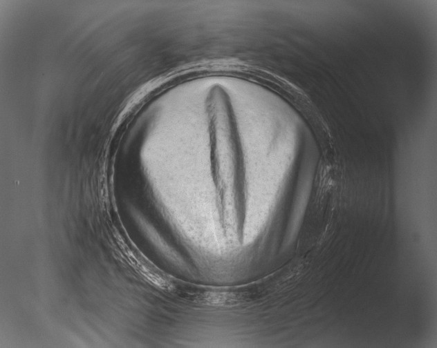 X0000085071176200703261223