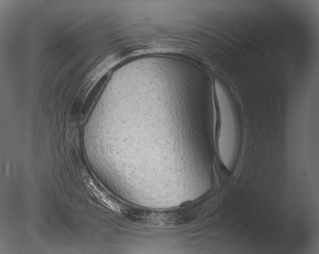 X0000085071177200703261223