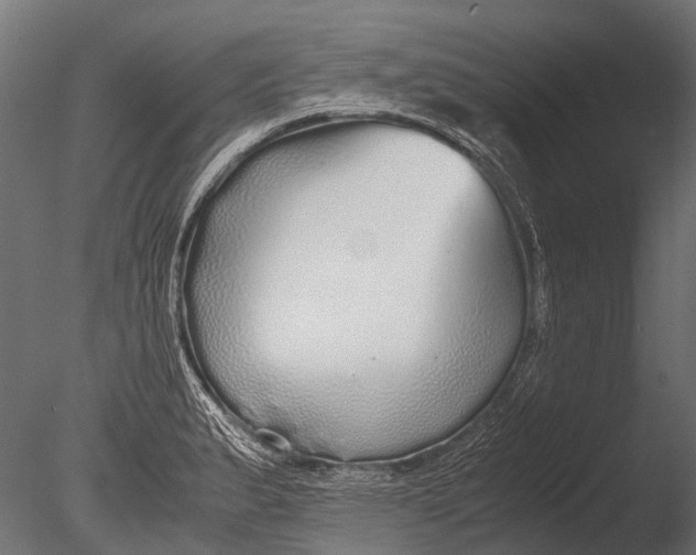 X0000085071183200703261223