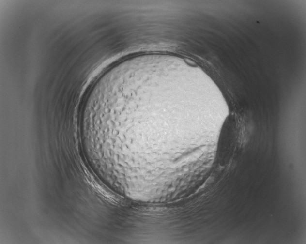 X0000085071184200703261223