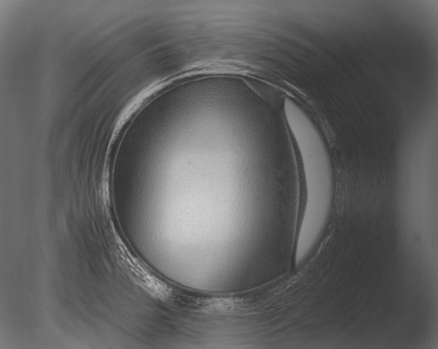 X0000085071188200703261223