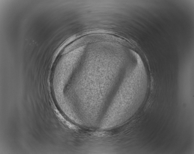 X0000085071189200703261223