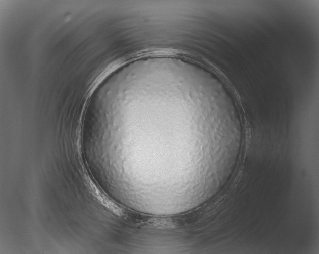 X0000085071194200703261223