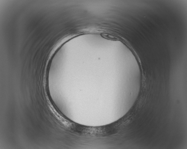 X0000085071195200703261223