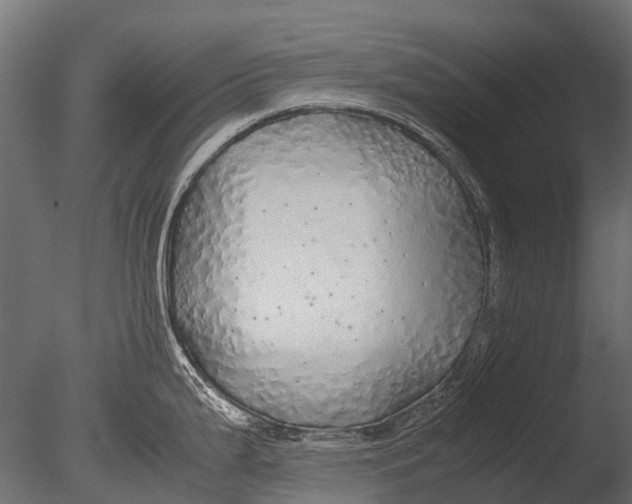 X0000085071199200703261223