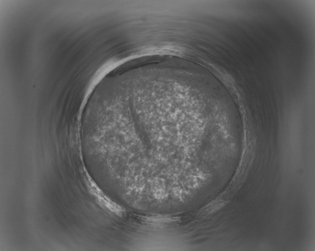 X0000085071200200703261223