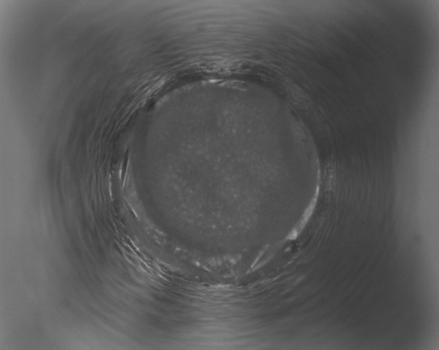 X0000085071202200703261222