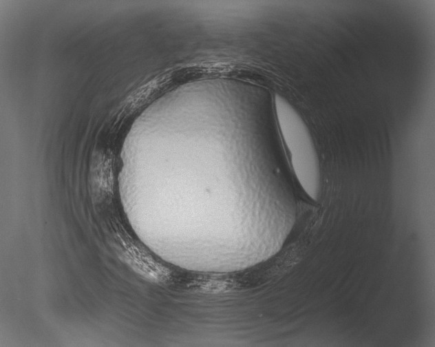 X0000085071204200703261222