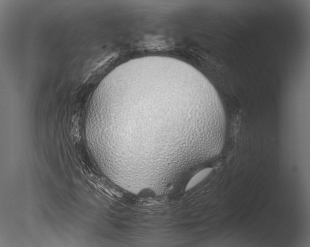 X0000085071205200703261222