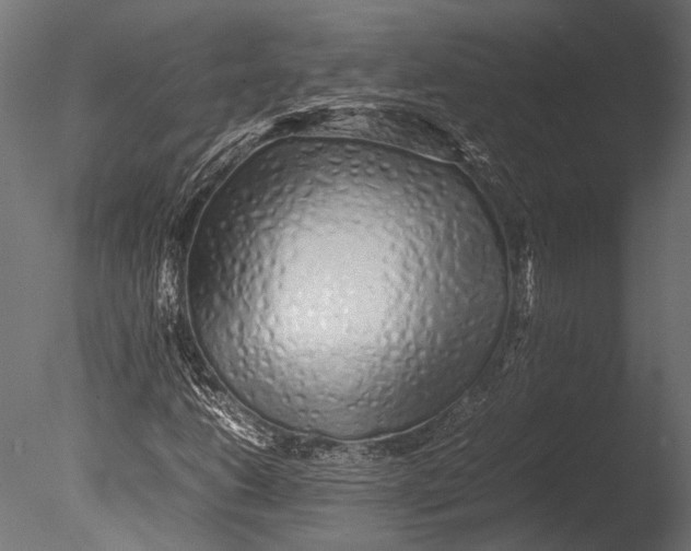 X0000085071206200703261222