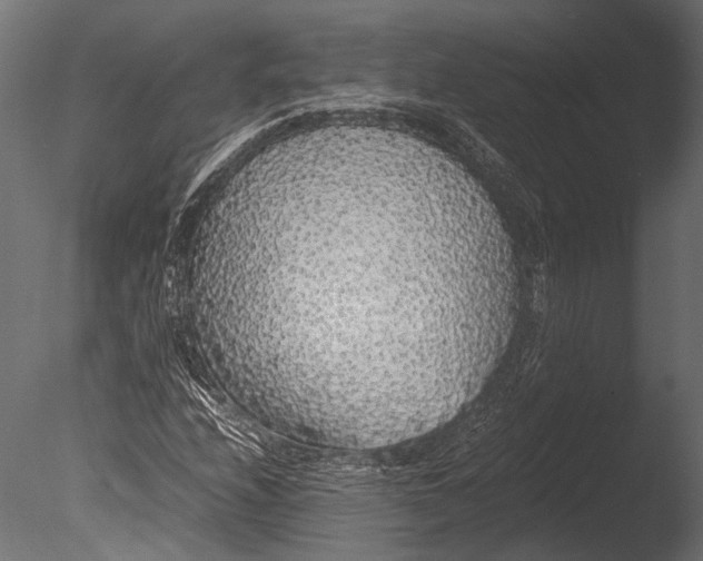 X0000085071208200703261222