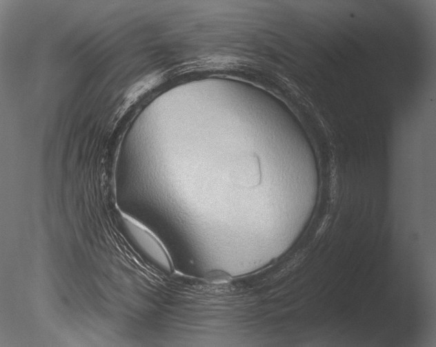 X0000085071210200703261222