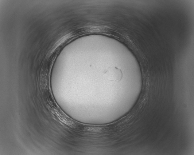 X0000085071211200703261222