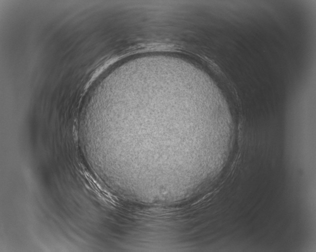 X0000085071212200703261222