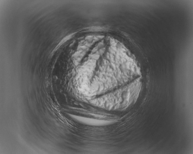 X0000085071213200703261222