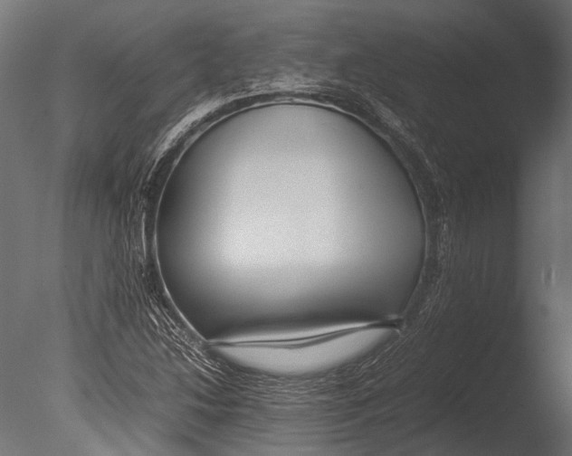 X0000085071214200703261222