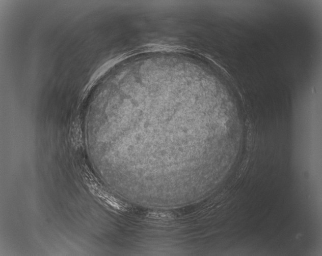 X0000085071215200703261222