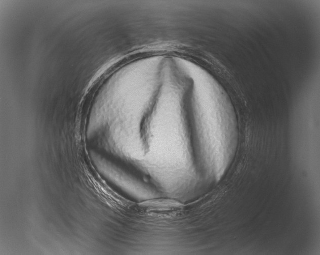 X0000085071216200703261222