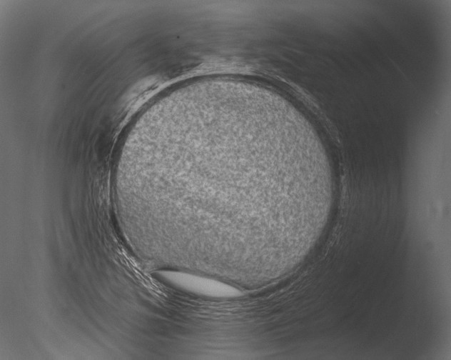 X0000085071220200703261222