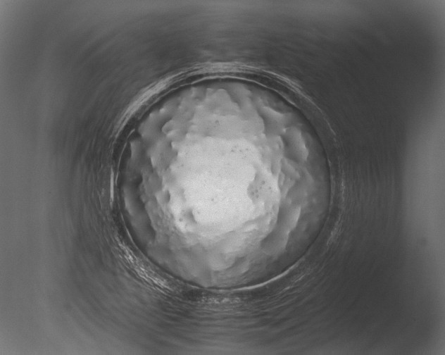 X0000085071221200703261222