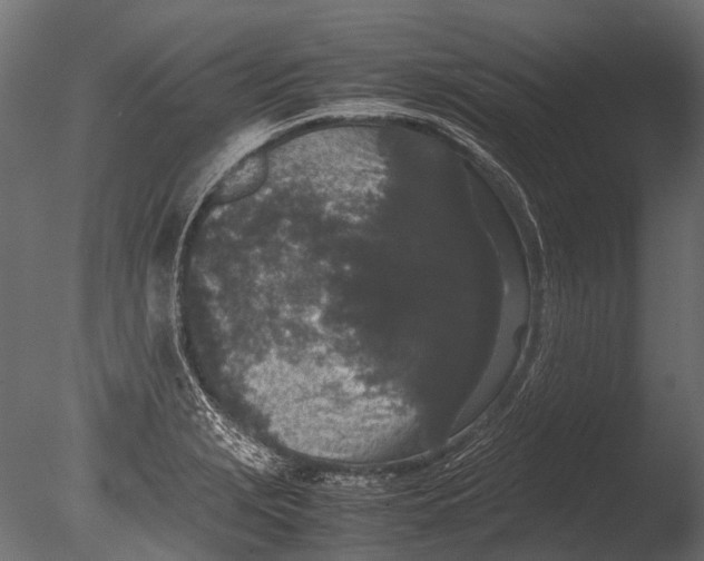 X0000085071229200703261223