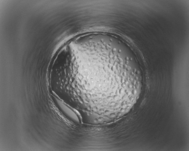 X0000085071230200703261223