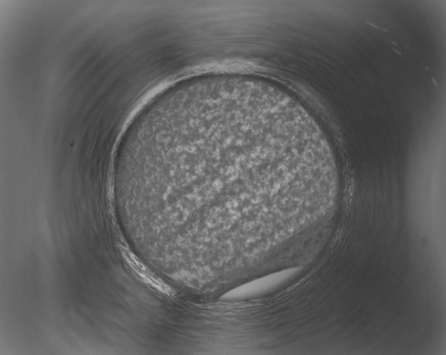 X0000085071232200703261223