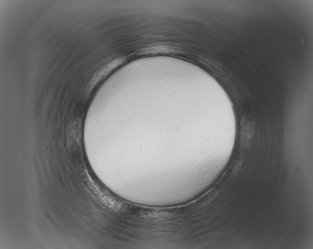 X0000085071233200703261223