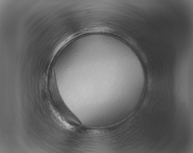 X0000085071234200703261223