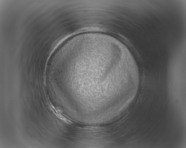 X0000085071236200703261223