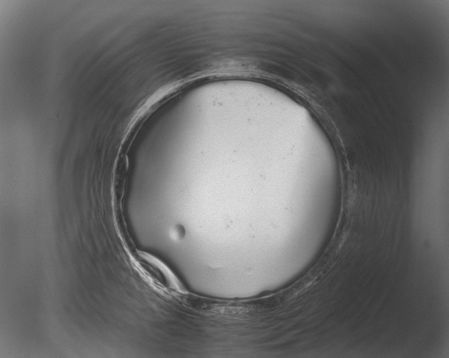 X0000085071237200703261223