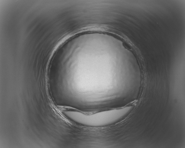 X0000085071240200703261223