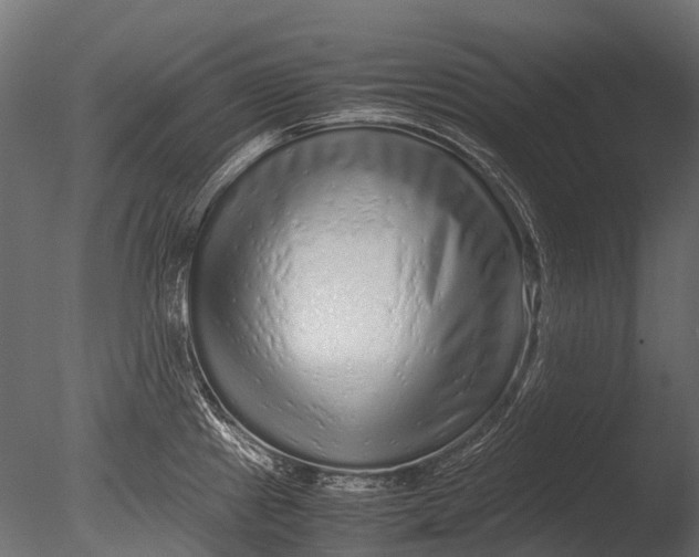 X0000085071241200703261223