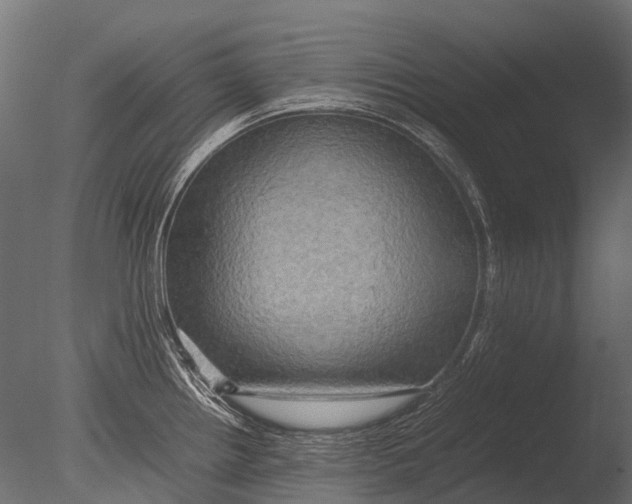 X0000085071242200703261223