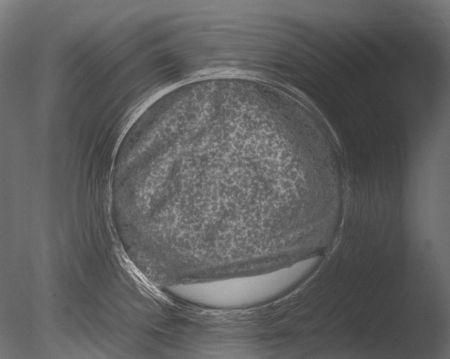 X0000085071244200703261223