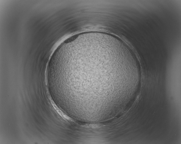 X0000085071246200703261223