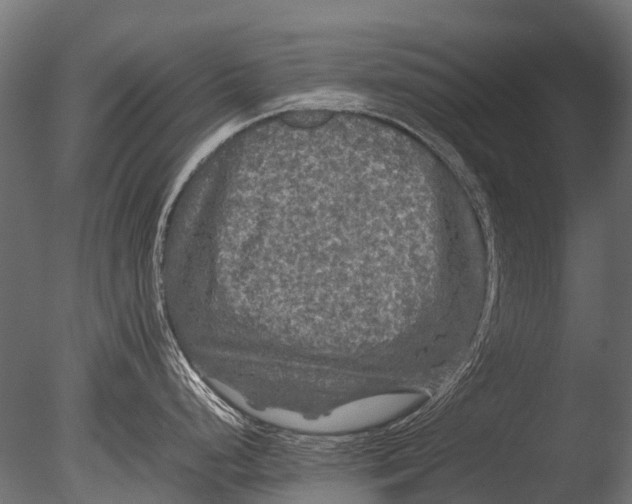 X0000085071248200703261223