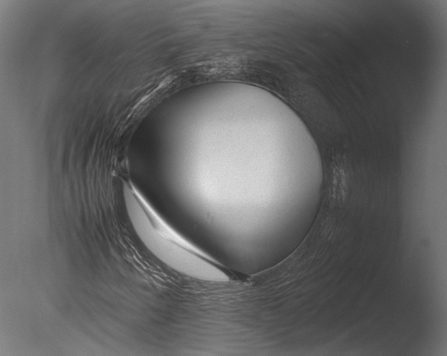 X0000085071250200703261222