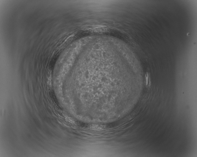 X0000085071251200703261222