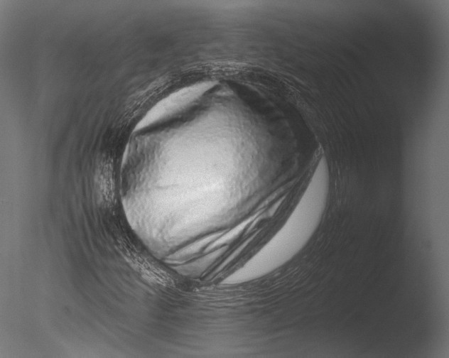 X0000085071252200703261222