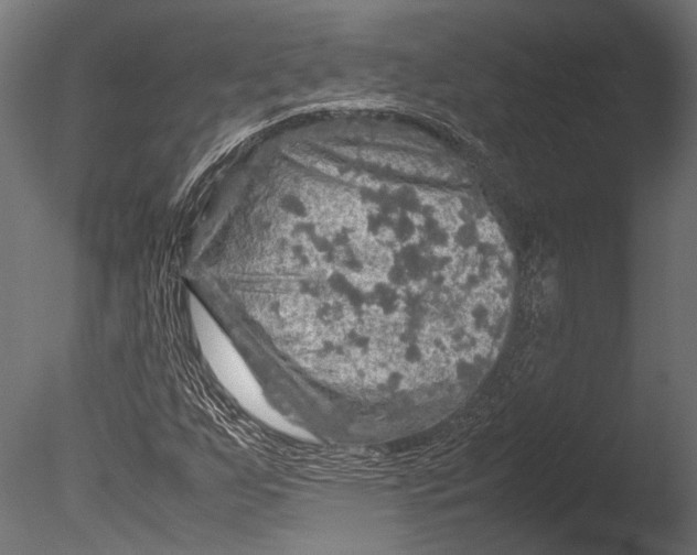 X0000085071255200703261222