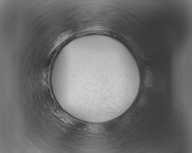 X0000085071258200703261222