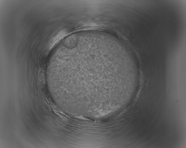 X0000085071259200703261222