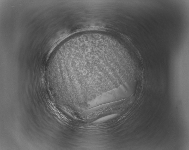 X0000085071260200703261222