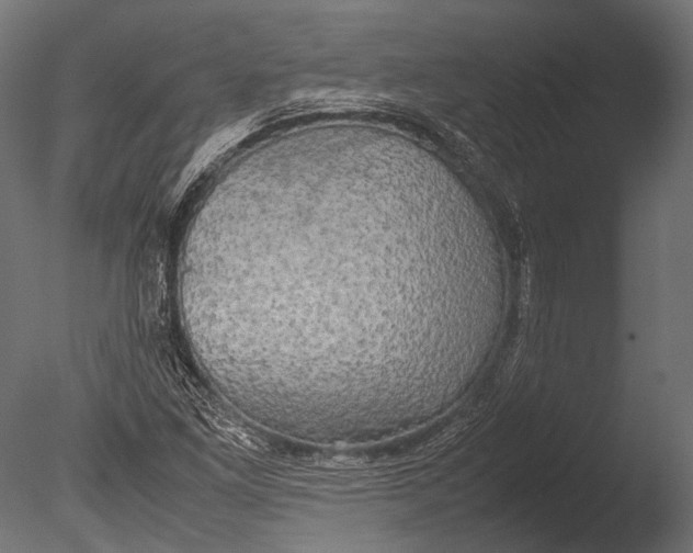 X0000085071261200703261222