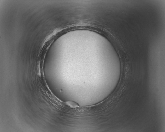 X0000085071262200703261222