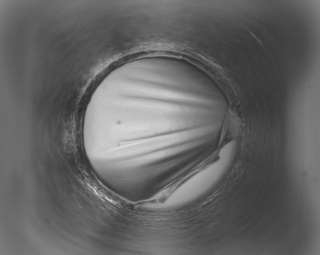 X0000085071264200703261222